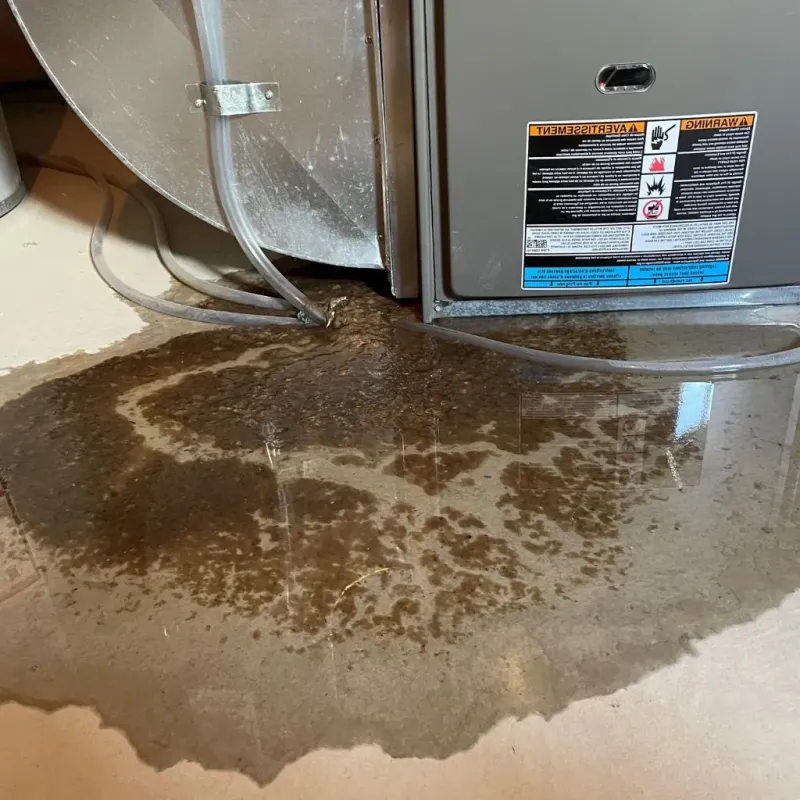 Pipe Burst and Leak Restoration in Easton, MD